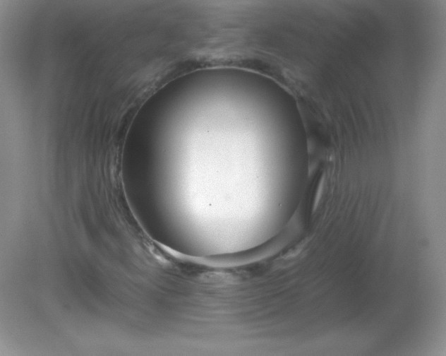 X0000082151300200702021624