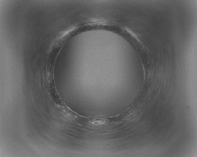 X0000082151303200702021624