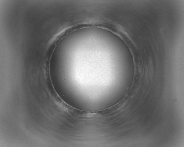 X0000082151304200702021624