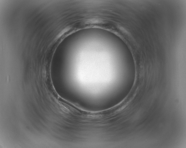 X0000082151305200702021624