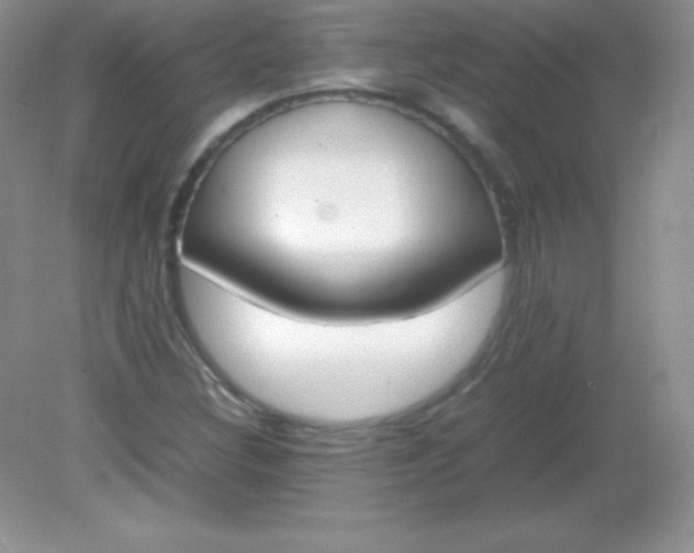 X0000082151308200702021624