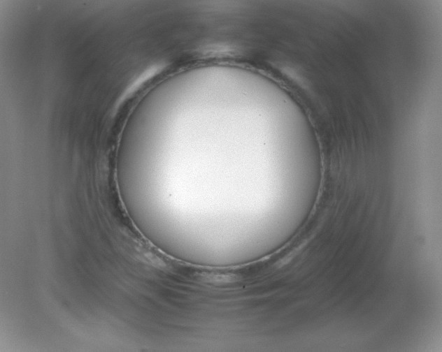 X0000082151309200702021624