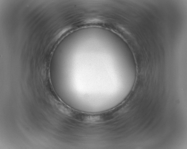 X0000082151313200702021625