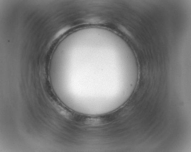 X0000082151315200702021625