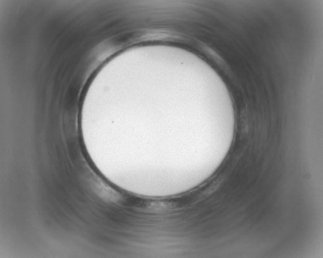 X0000082151322200702021625