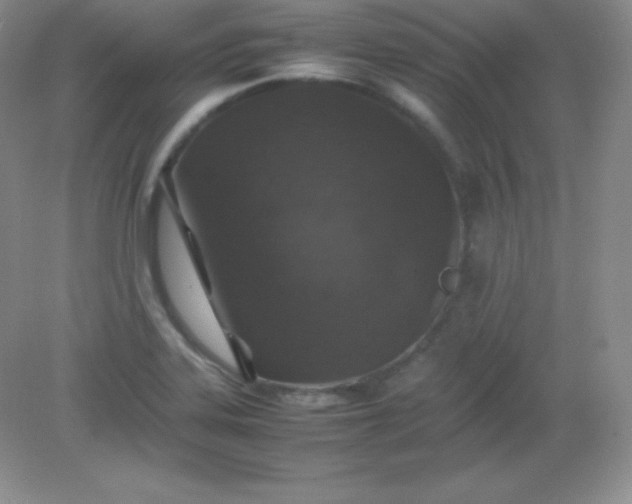 X0000082151323200702021625