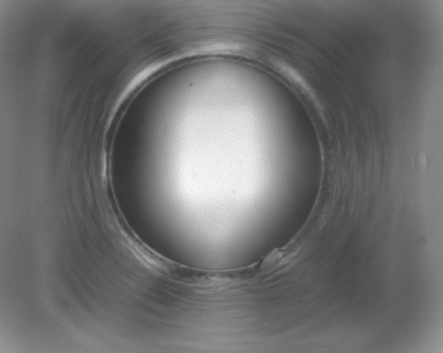 X0000082151324200702021625