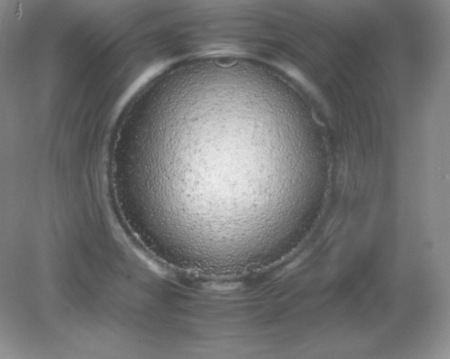 X0000082151325200702021625