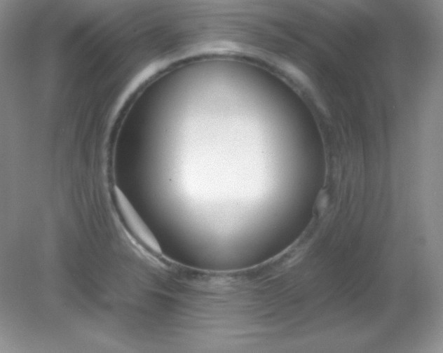 X0000082151326200702021625