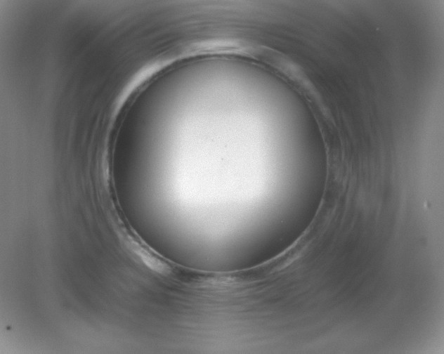 X0000082151328200702021625