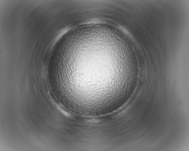 X0000082151329200702021625