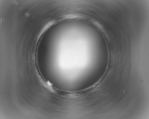X0000082151330200702021625