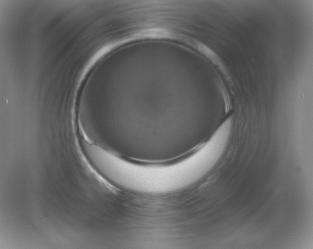 X0000082151334200702021625
