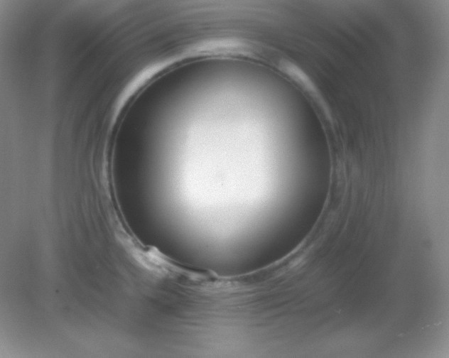 X0000082151336200702021625