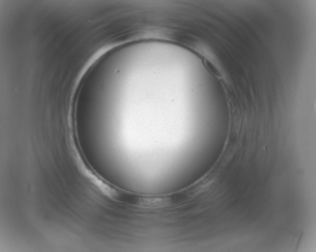 X0000082151339200702021625