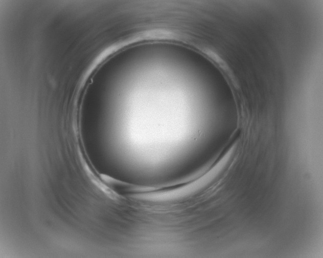 X0000082151342200702021625