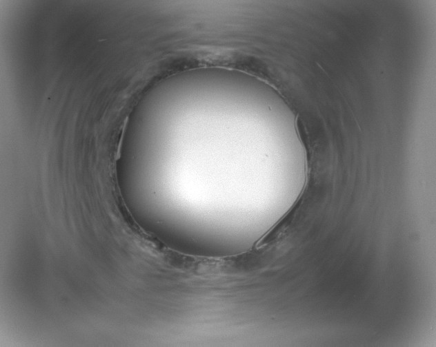 X0000082151345200702021624