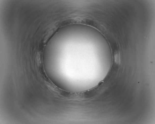 X0000082151347200702021624