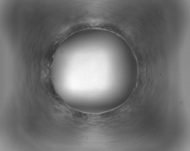 X0000082151349200702021624