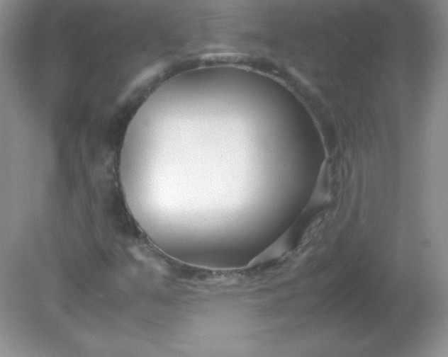 X0000082151351200702021624
