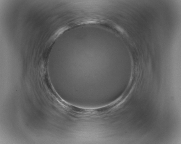X0000082151353200702021624