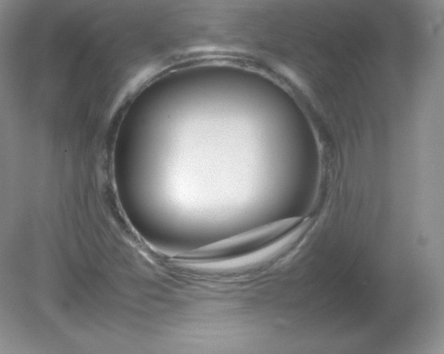 X0000082151357200702021624