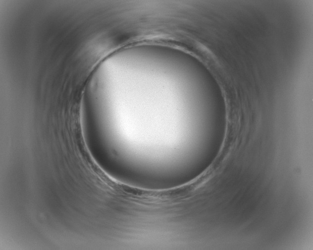 X0000082151361200702021624