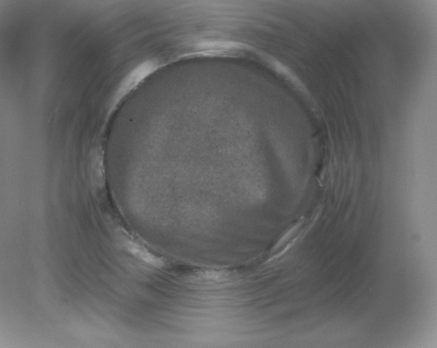 X0000082151362200702021624