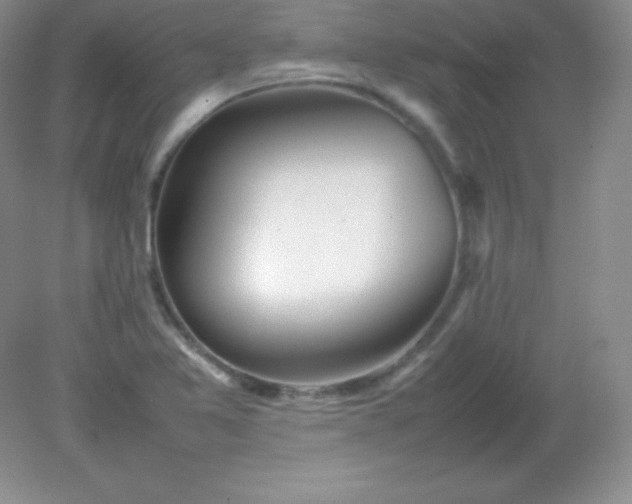 X0000082151365200702021624