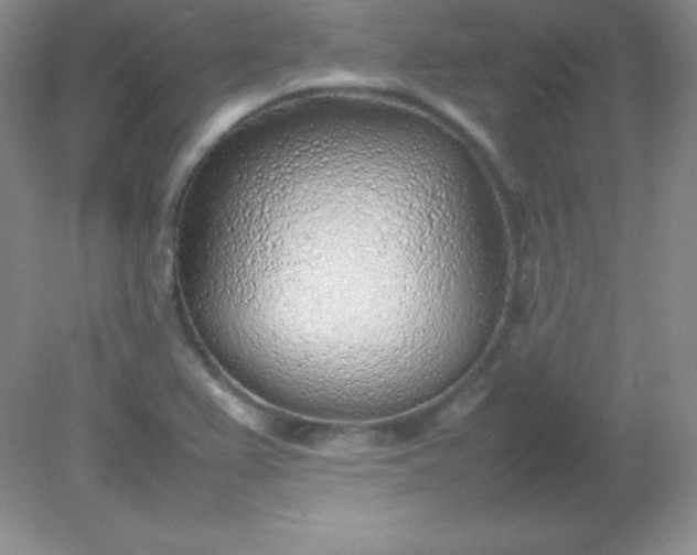 X0000082151367200702021624
