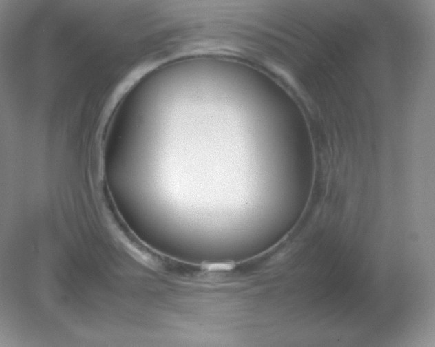X0000082151371200702021624