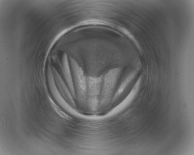 X0000082151372200702021624