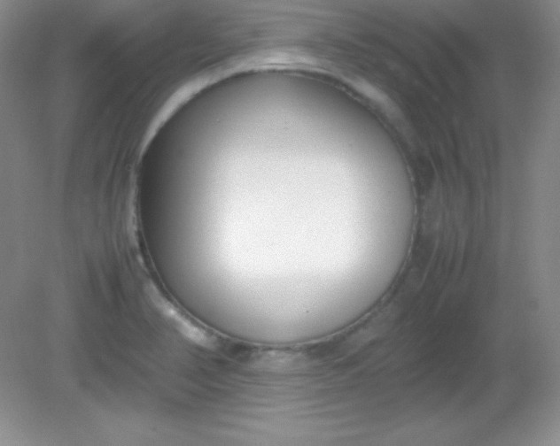 X0000082151374200702021624