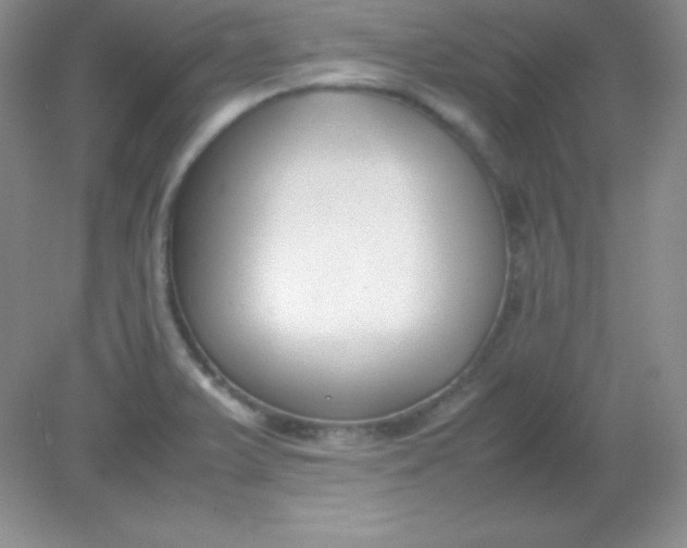 X0000082151375200702021624