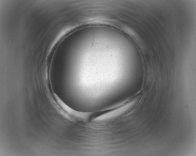 X0000082151376200702021624