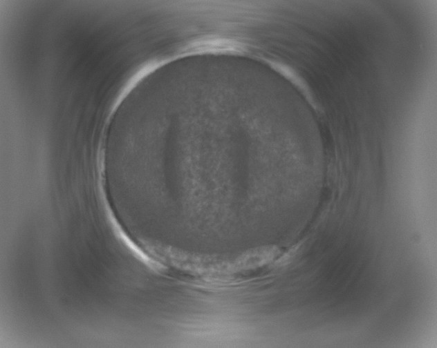 X0000082151383200702021624
