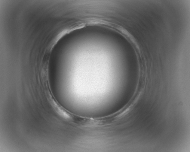 X0000082151385200702021624