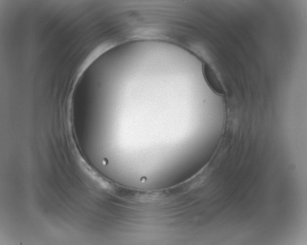 X0000082151386200702021624