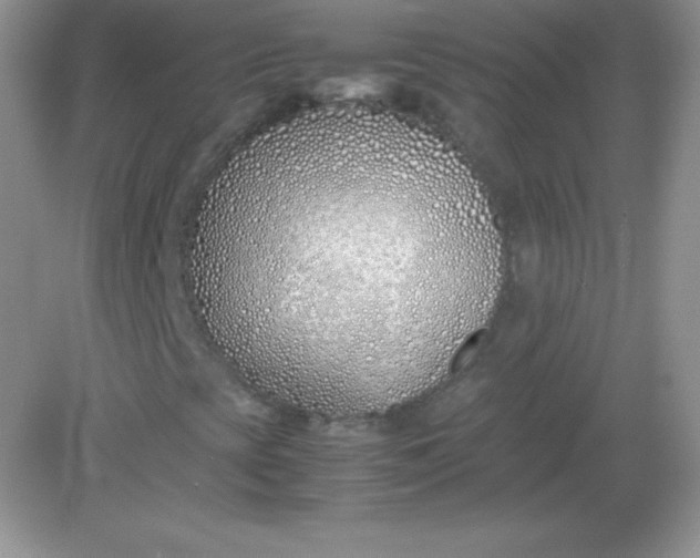 X0000082151393200702021623