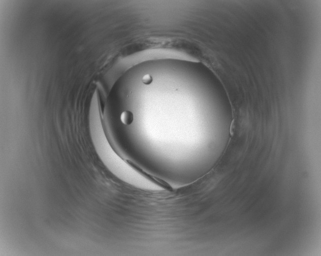 X0000082151394200702021623