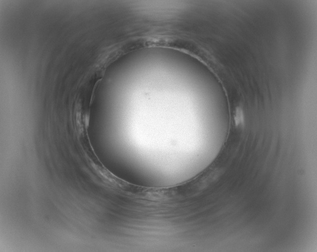 X0000082151396200702021623