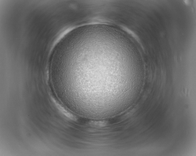 X0000082151415200702021623