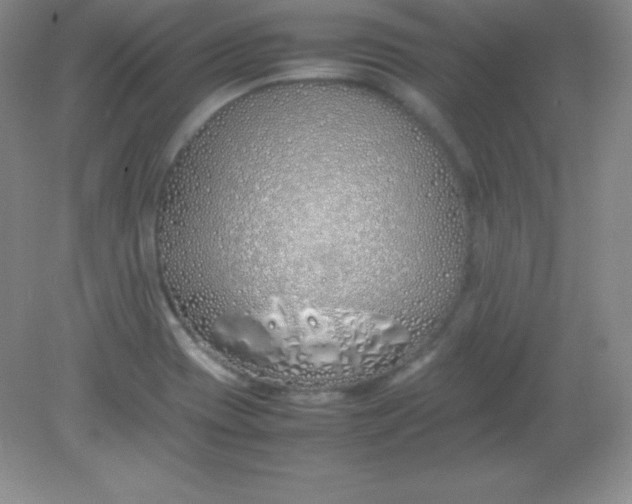 X0000082151417200702021623