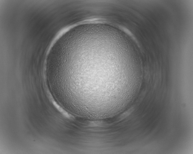 X0000082151421200702021623