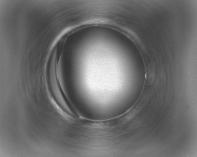 X0000082151422200702021623