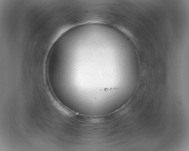 X0000082151423200702021623