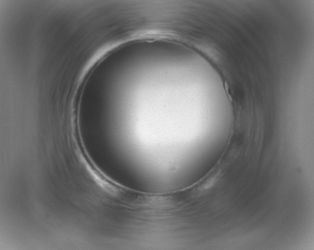 X0000082151430200702021623