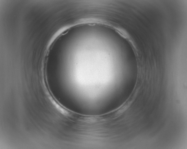 X0000082151438200702021623