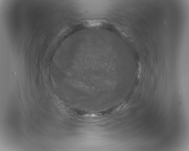 X0000082151441200702021623