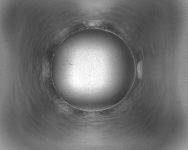 X0000082151443200702021623